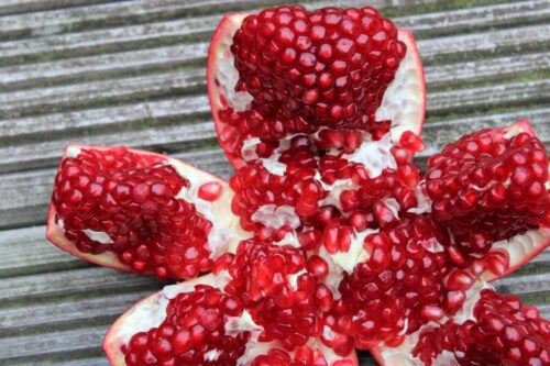 pomegranate 5